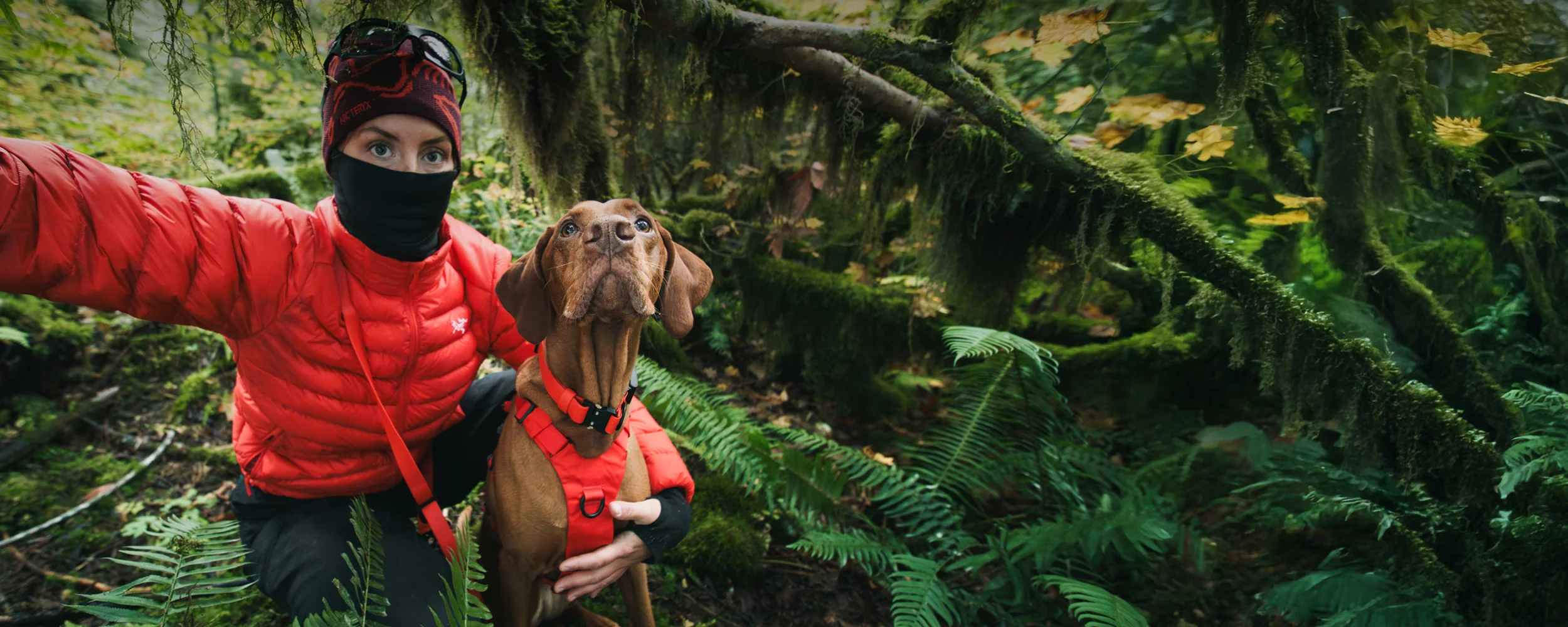 Adventure Together, Without Limits